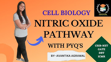 NITRIC OXIDE PATHWAY || CELL SIGNALING || CSIR NET || GATE || DBT