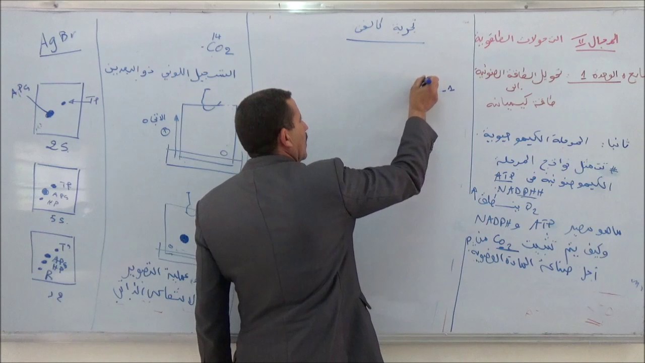 المجال 2 التركيب الضوئي الجزء 5  المرحلة الكيموحيوية