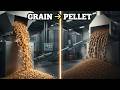 From Grain to Pellet: Mass Production Marvels of Feed Manufacturing