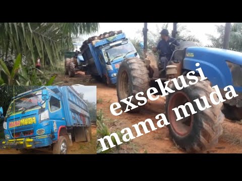  Truk sawit  mama muda YouTube