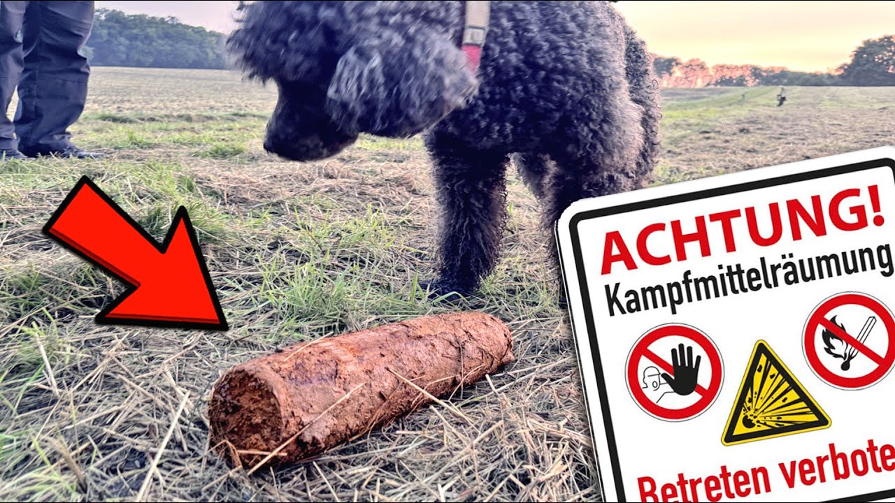 Wir rufen die POLIZEI wegen eines anderen Sondengängers 😡 #ww2 #metaldetecting #sondeln