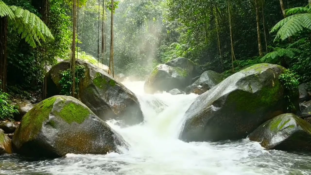 Sounds of Spring: Forest Sounds & Vibrant Bird Sounds | Refreshing Nature Sounds