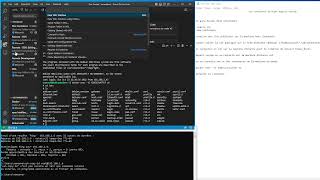 🔴 VS Code   Comment se connecter sur un conteneur distant en ssh depuis Visual Studio Code