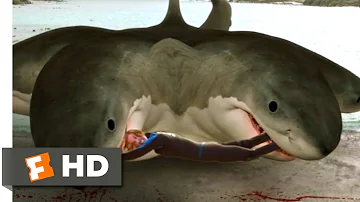 6-Headed Shark Attack (2018) - Ripped in Half Scene (3/10) | Movieclips