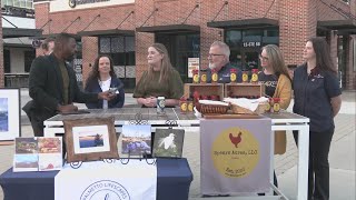 Greer Arts and Eats Festival