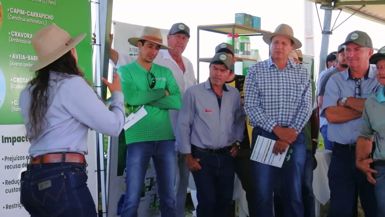 Dia de Campo Verão 2026 em Nova Cantu