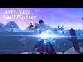 [Blade and Soul] Awoken Soul Fighter (Ice Spec)