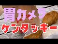 胃・大腸検査で数日 チキンを禁止されたあとのケンタッキーは狂うほど美味しいに決まってる