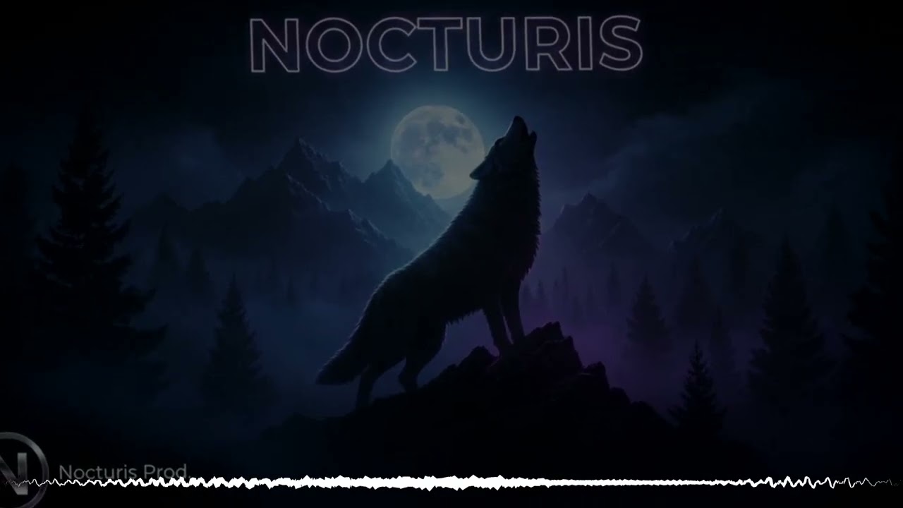 NOCTURİS - SOKAKLAR ŞAHİDİM  [KADERİN OYUNU BİTMEDİ]