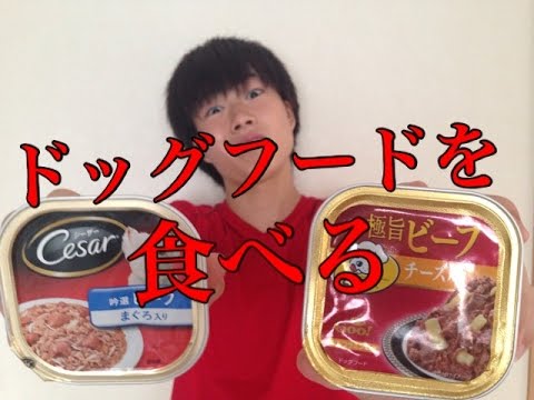 グロ注意 ドッグフードで美味しい料理を作ろう Youtube グロ注意 ドッグフードで美味しい料理を作ろう Youtube