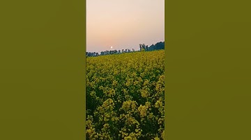 Tujhe Dekha to #short #shortvideo #trending #nature #viral #shorts #latamangeshkar