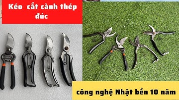 Báo giá 4 mẫu kéo cắt cành cầm tay với công nghệ tiên tiến NHẬT BẢN giá tốt nhất