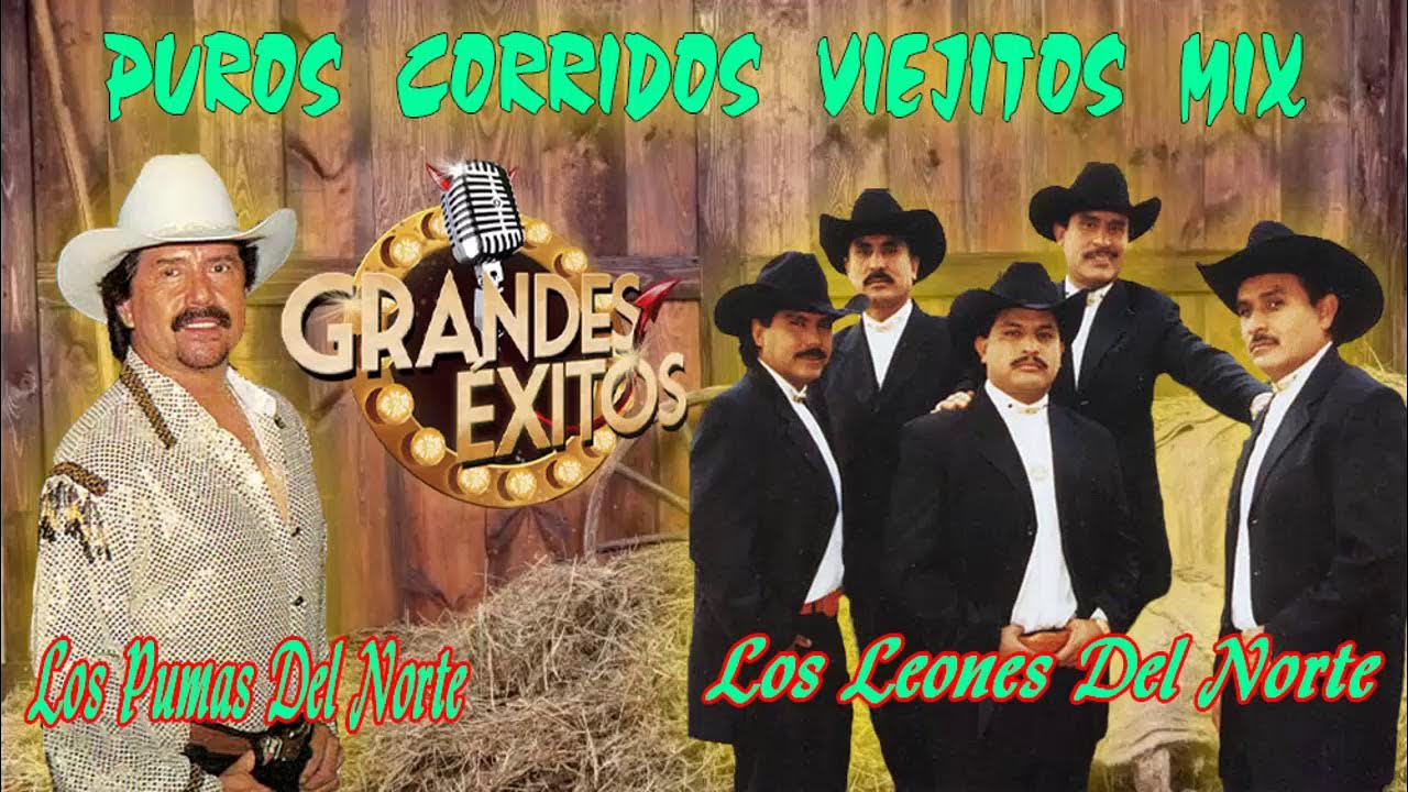 Puros Corridos Viejitos Mix ~ Los Pumas Del Norte , Los Leones Del Norte -  YouTube