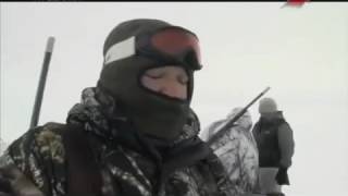 Зимняя охота на Гусей Мороз и Гуси! Зимняя охота на Гусей Мороз и Гуси!