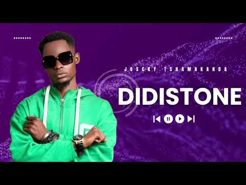 JOSKY TSHAMAKANDA Didistone Visualizer 