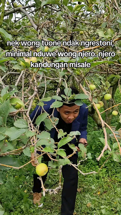 itungan jowo malih nda berlaku #quotes #storywa #story #masukberanda #kata²