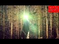 نتأمل يومك يالمهدي وصوتك ننتظره يا ثار الزهره المظلومه يا ثار الزهره نتأمل يومك يالمهدي وصوتك ننتظره يا ثار الزهره المظلومه يا ثار الزهره