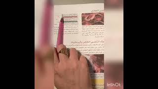 أنماط التنفس عند الحيوانات سنة ثانية متوسط