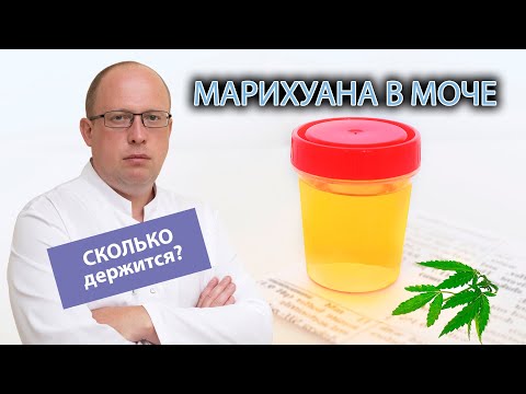 🌿 Сколько обычно держится марихуана в моче? 🔬