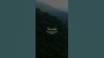#علي_جابر #تلاوات #القرآن_الكريم #تلاوة_خاشعة #القرآن #آيات #تلاوة #quran #قرآن #قران_كريم #ترند