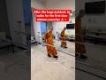 After the huge accident &amp; loosing the leg, venerable Monk walks for the first time #alokathepeacedog