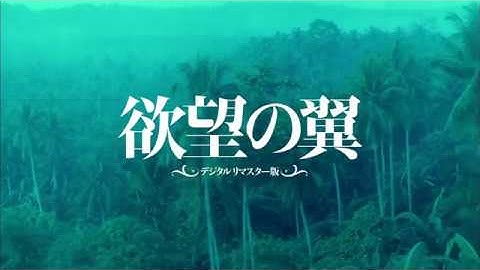 ウォン・カーウァイ監督『欲望の翼』デジタルリマスター版予告