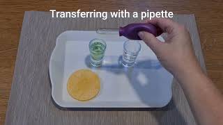 Montessori Practical Life - Transferring with a jumbo pipette