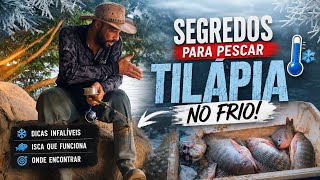 Como pescar tilápia manhosa no frio, dicas e segredos revelados