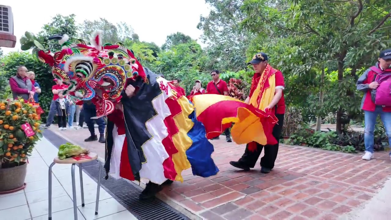 2026年大年初一 沙角尾 舞麒麟 EP5