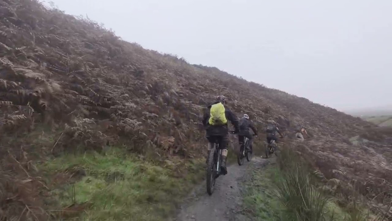 Macc Forest with Dave, Chris and Rob