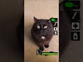 I Hear A Hunter Zoey S Cat Issues Cats Funny Left4dead Hunter Shorts 