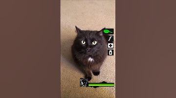 I hear a hunter (Zoey