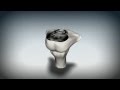 3D Brainstem Animation Cross Sections of Midbrain, Pons, Medulla