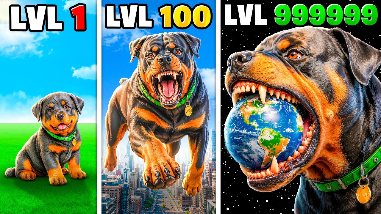 Level 1 to 1,000,000 CHOP In GTA 5!