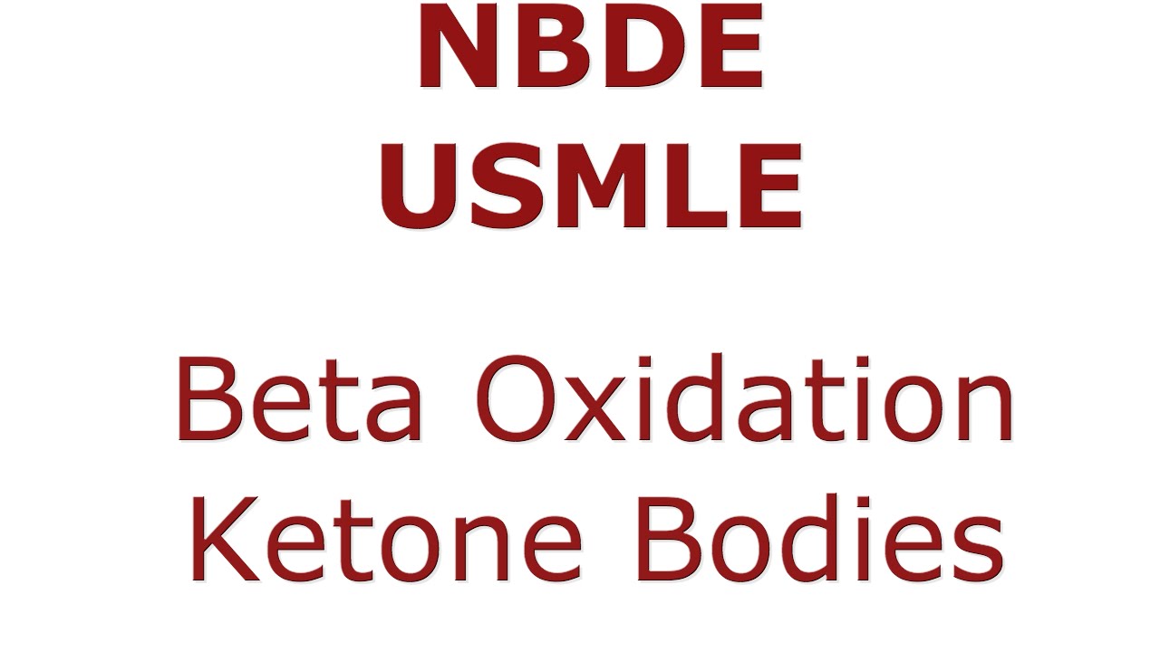 Beta Oxidation and Ketone Bodies NBDE Biochemistry YouTube