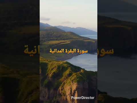 هذه رؤية القلب بمعنى الم تعلم والمعنى عند سيبويه تنبه الى امر الذين اهذا مثل