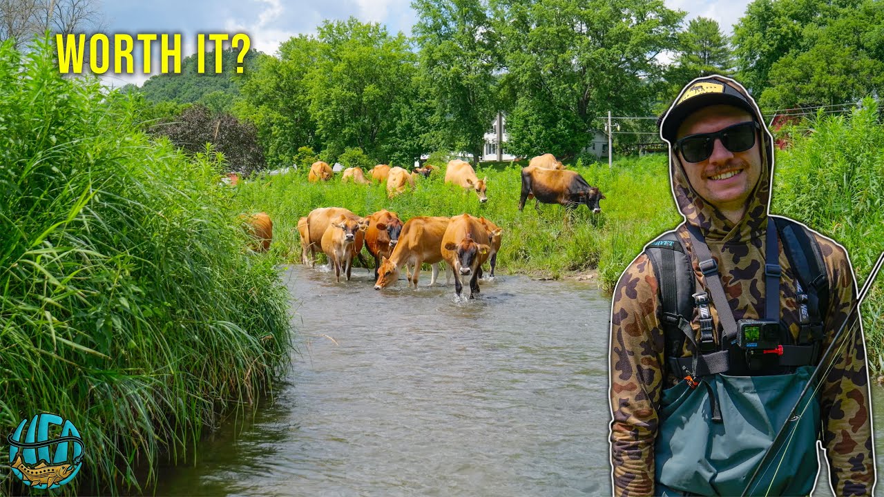 My First Time Fly Fishing the Driftless!! How Good is it Really? (Trout Fishing)