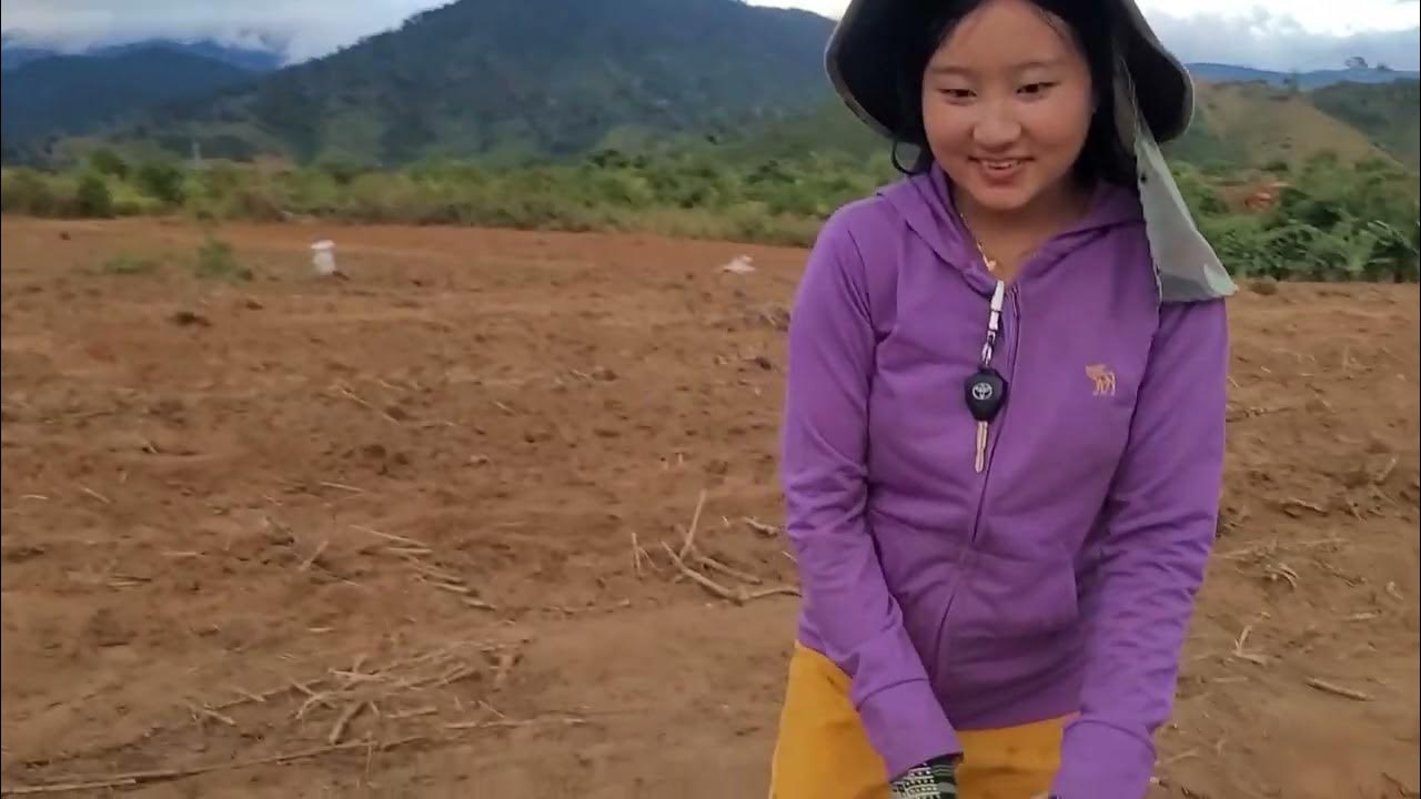 Самый активный металл. Ряд напряженности металлов. Джет ли png. Цзи ли. Li ca.