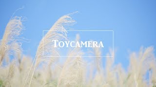 【Toycamera】 手心 (2009)