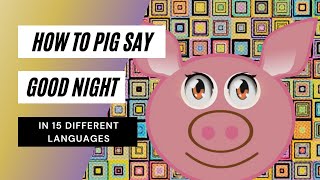 How To Pig Say Good Night In Different Languages - Asmr- Saying Good Night In Different Languages