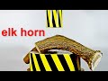 HYDRAULIC PRESS VS BIG ELK HORN  THE MOST DURABLE PART OF A BIOLOGICAL ORGANISM