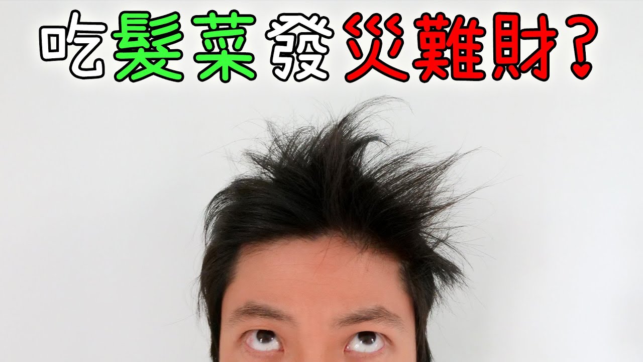 吃髮菜為「發財」? 原來曾經發的是「災難財」?!