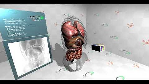 SofaAPAPI-Unity3D - Virtual Interactive XRay Simulation