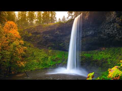 Oregon Waterfalls 8K - Silver Falls, Multnomah Falls & Real Nature Sounds - 8 Hours