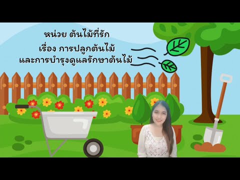 หน่วยต้นไม้ที่รัก : การปลูกต้นไม้และการบำรุงดูแลรักษาต้นไม้ 🌳