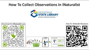 iNaturalist Collecting Observations
