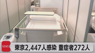 東京2,447人感染 重症者272人（2021年8月23日）