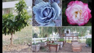 Our 3 Acre Garden Tour (Spring 2019)