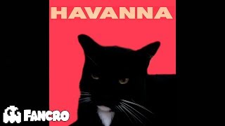 Camila Cabello  Havana  Cover Gatos