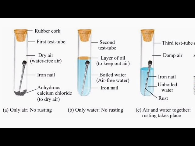 Experiment: Copper plating an iron nail - Free ZIMSEC & Cambridge Revision  Notes